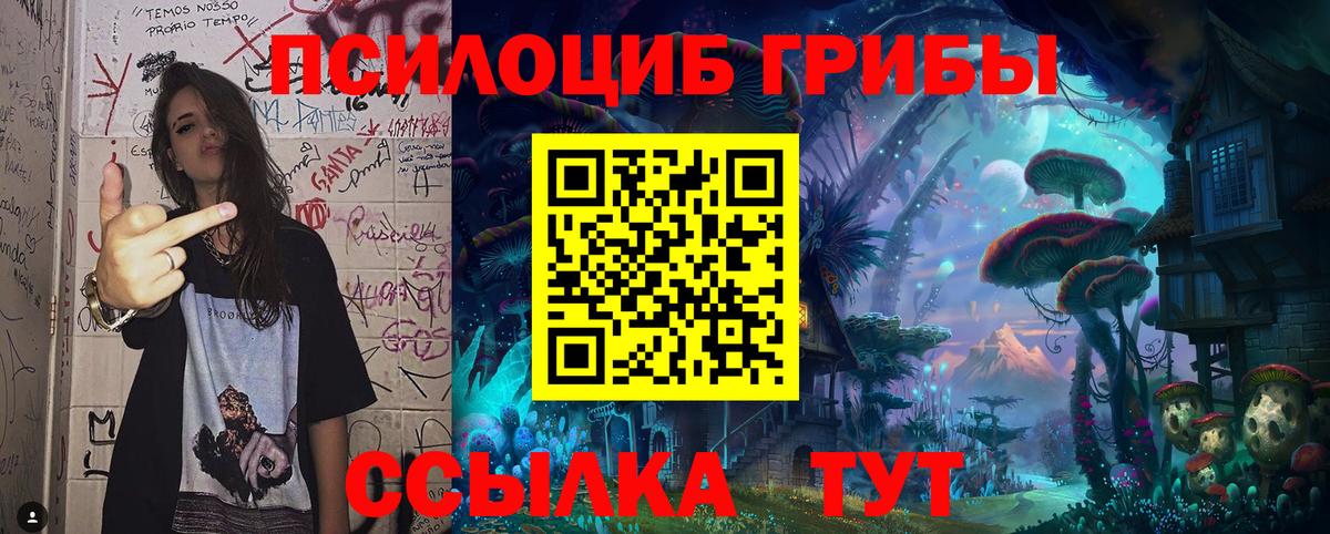 Галлюциногенные грибы мухоморы Новочебоксарск