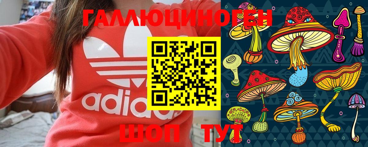 Галлюциногенные грибы мицелий  Новочебоксарск 