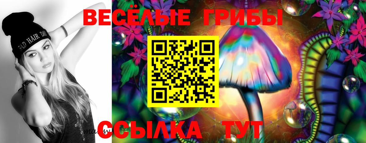 Новочебоксарск  магазин продажи наркотиков  Вход с VPN  Галлюциногенные грибы Magic Shrooms 